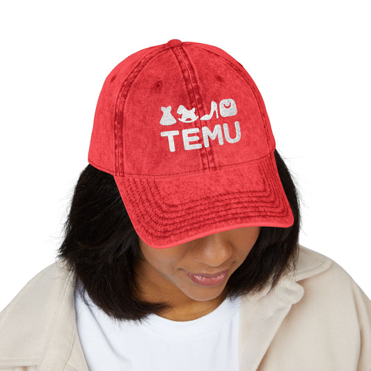 TEMU Vintage Cap Hat