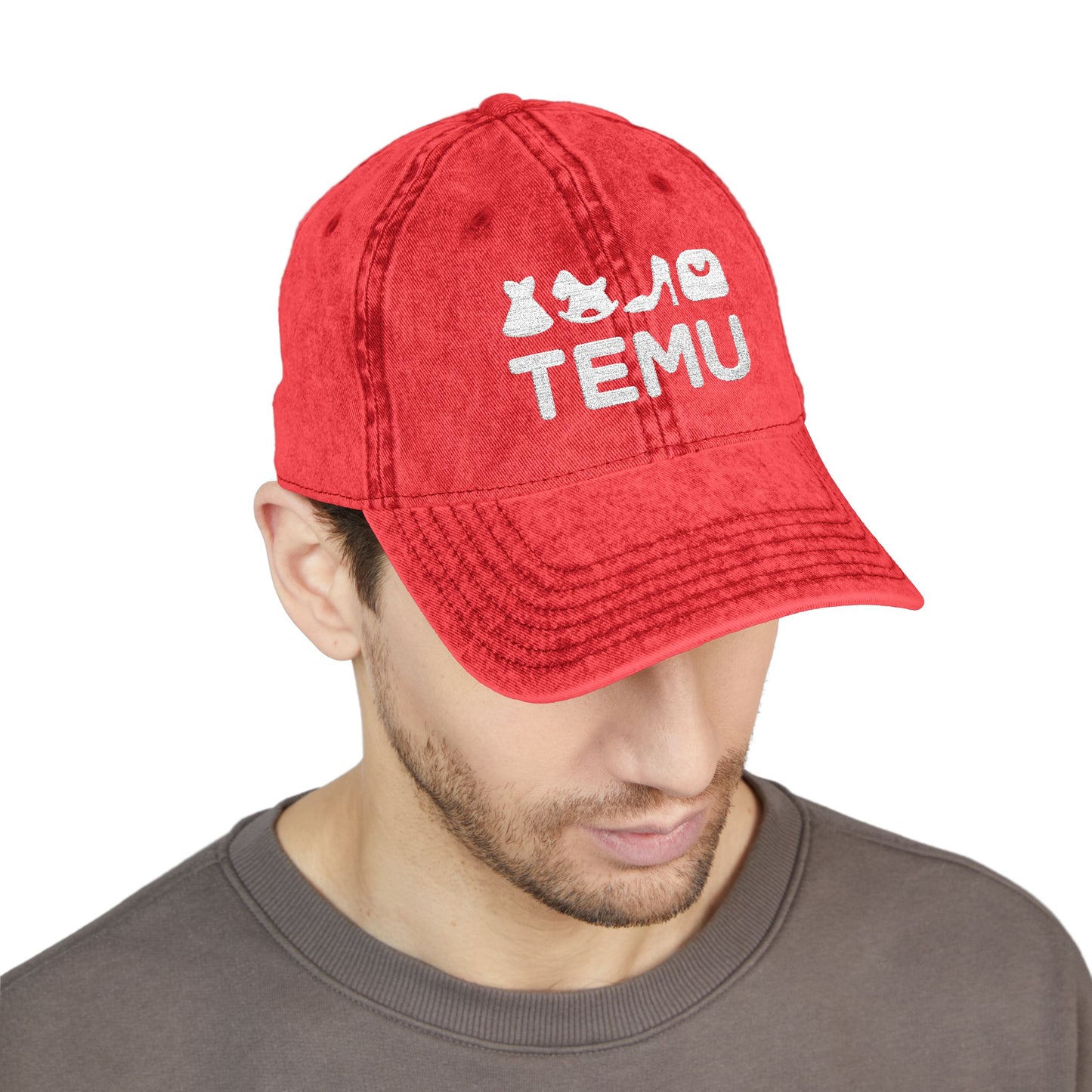 TEMU Vintage Cap Hat
